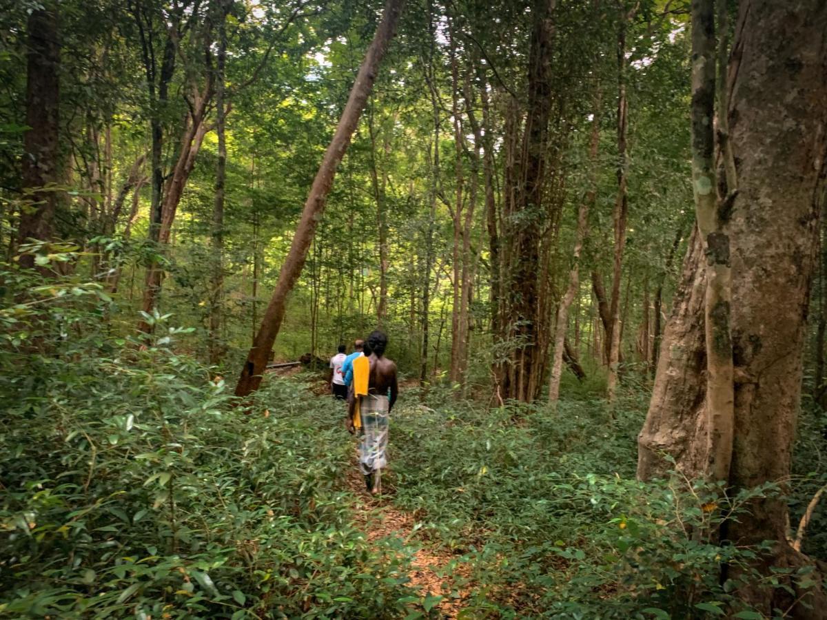 Wild Glamping Gal Oya - Thema Collection Hotel Galgamuwa  Ngoại thất bức ảnh