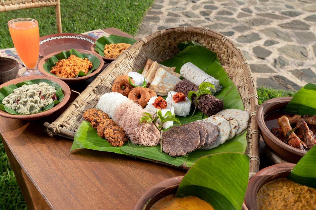 Wild Glamping Gal Oya - Thema Collection Hotel Galgamuwa  Ngoại thất bức ảnh